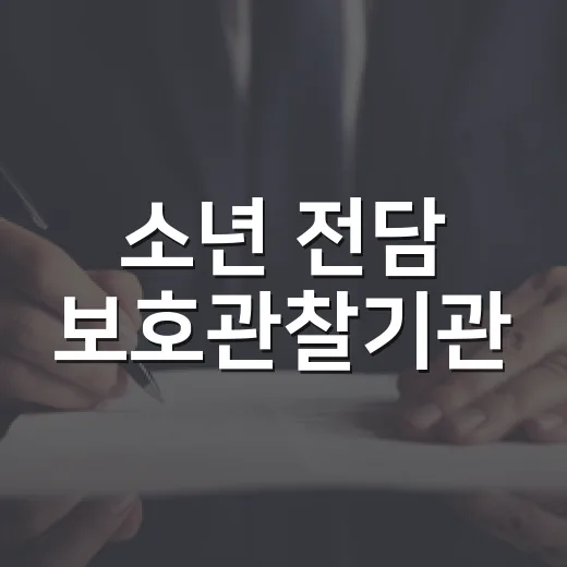 소년 전담 보호관찰…