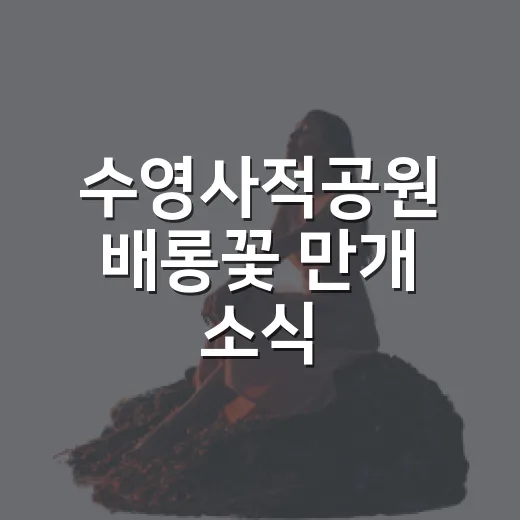 수영사적공원 배롱꽃 만개 소식
