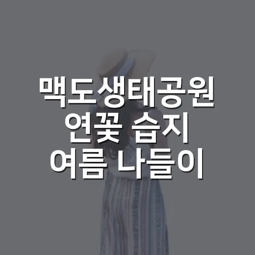 맥도생태공원 연꽃 …