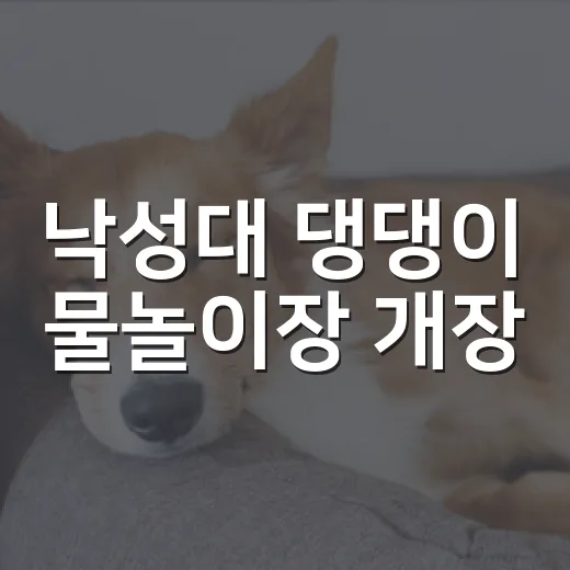 낙성대 댕댕이 물놀…