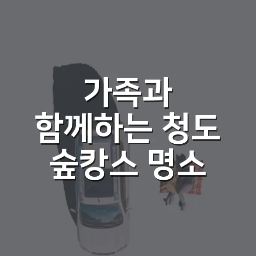 가족과 함께하는 청도 숲캉스 명소