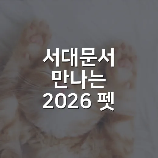 서대문서 만나는 2…