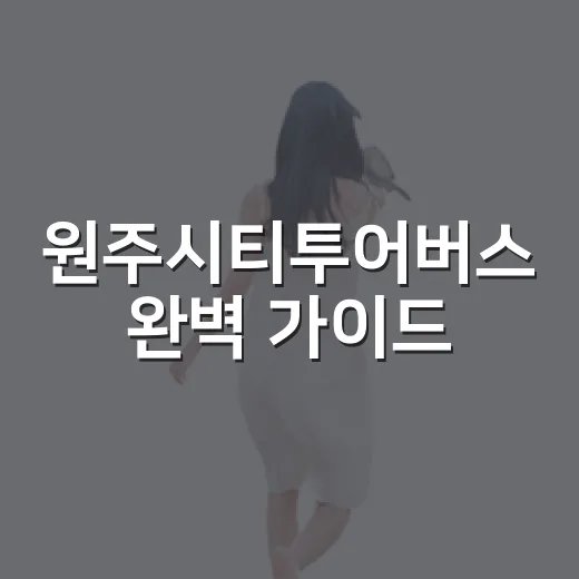 원주시티투어버스 완벽 가이드