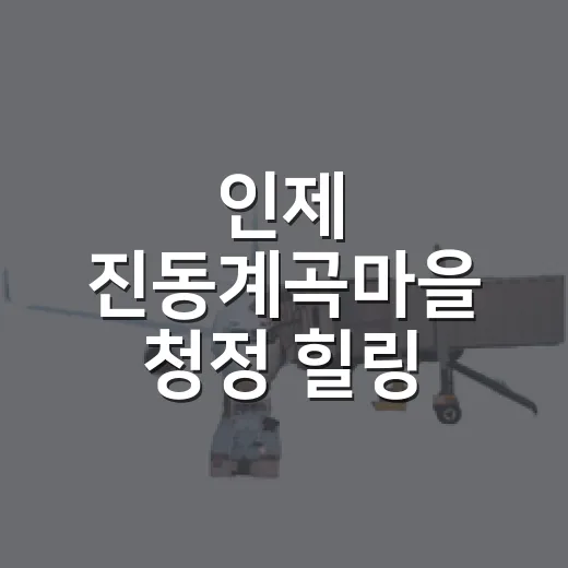 인제 진동계곡마을 …
