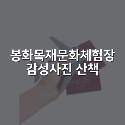 봉화목재문화체험장 감성사진 산책