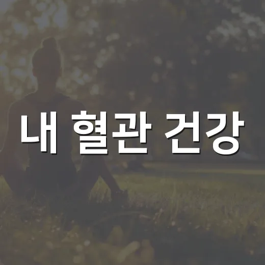 내 혈관 건강, 숫…