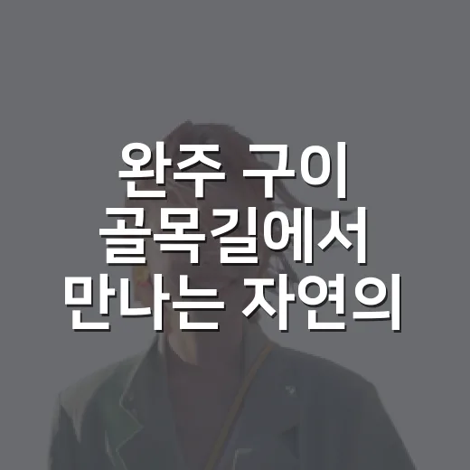 완주 구이 골목길에…