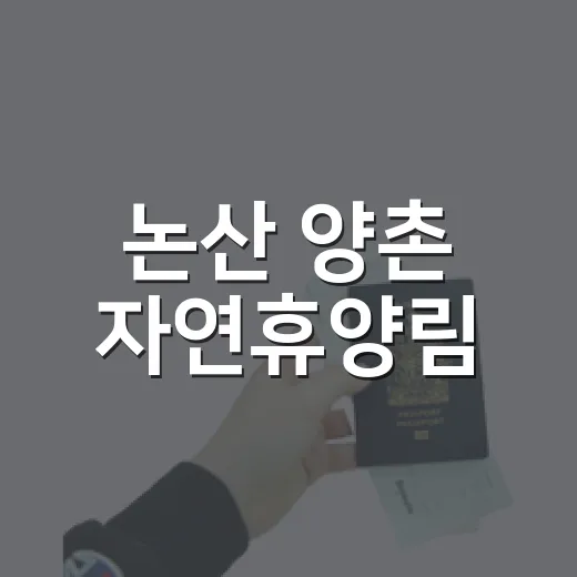 논산 양촌 자연휴양림, 도심 속 힐링 명소