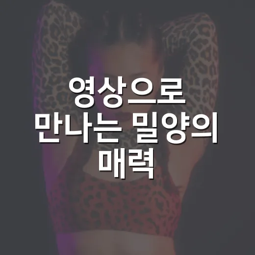 영상으로 만나는 밀양의 매력