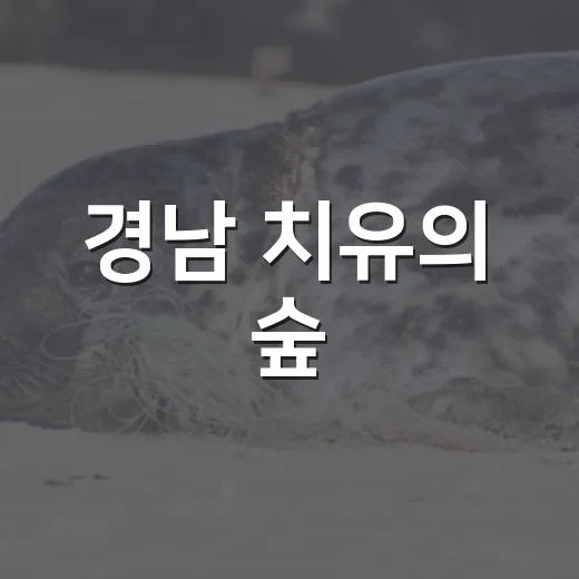 경남 치유의 숲, 도민 힐링 명소로 자리매김
