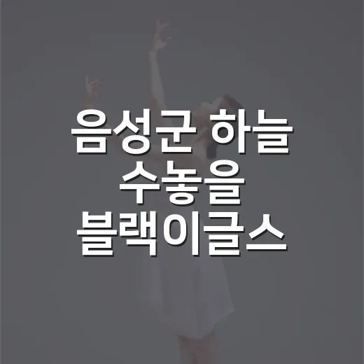 음성군 하늘 수놓을 블랙이글스 에어쇼