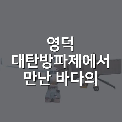 영덕 대탄방파제에서 만난 바다의 즐거움