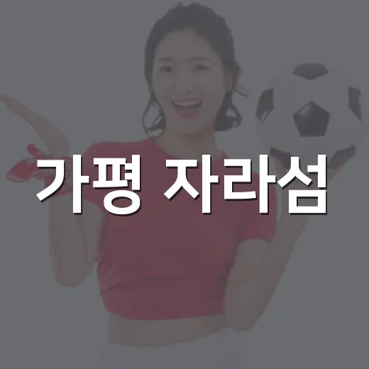 가평 자라섬, 경기도장애인생활체육대회 열기 가득