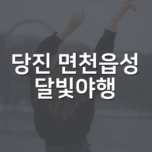 당진 면천읍성 달빛…