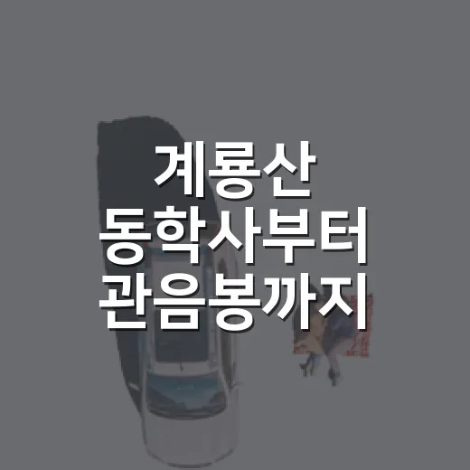 계룡산 동학사부터 관음봉까지 여름 산행 완벽 가이드