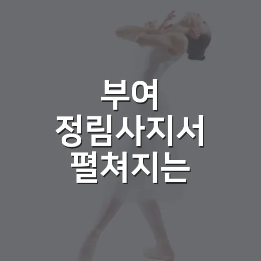 부여 정림사지서 펼쳐지는 2026 국가유산 미디어아트 개막