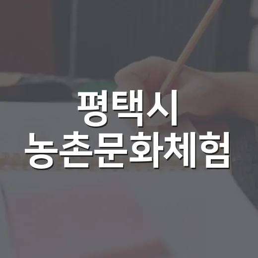 평택시 농촌문화체험, 가을부터 겨울까지 힐링 프로그램