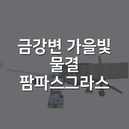 금강변 가을빛 물결 팜파스그라스 명소
