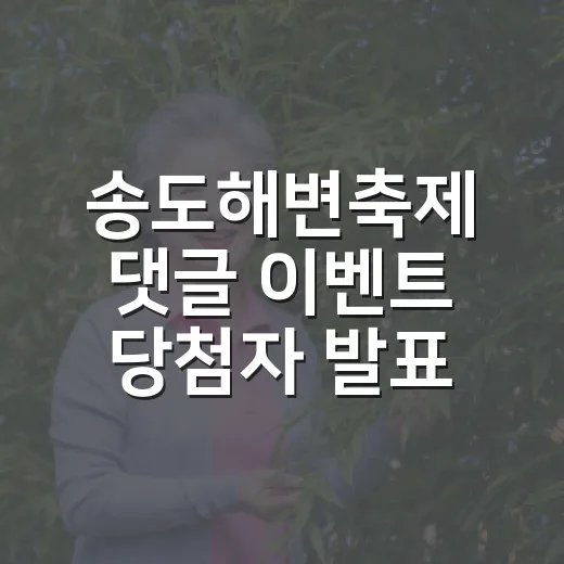 송도해변축제 댓글 이벤트 당첨자 발표