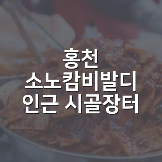 홍천 소노캄비발디 …