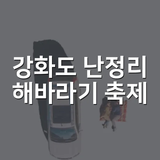 강화도 난정리 해바라기 축제, 황금빛 물결의 향연