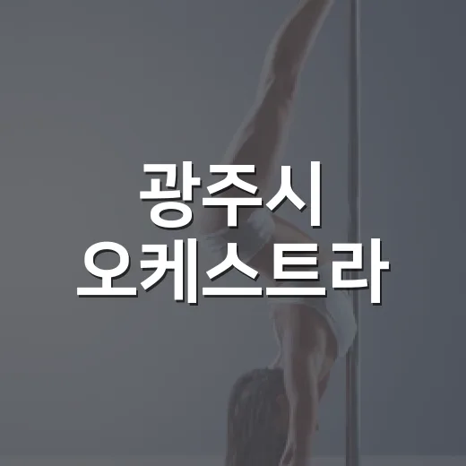 광주시 오케스트라, 호두까기인형 클래식 공연 현장