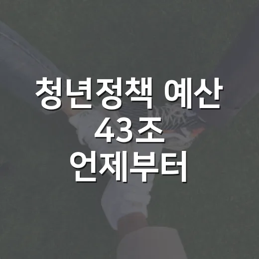 청년정책 예산 43조 언제부터 확대되나