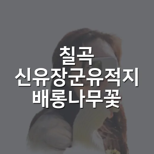 칠곡 신유장군유적지 배롱나무꽃 명소