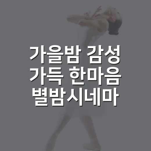 가을밤 감성 가득 …