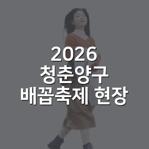 2026 청춘양구 배꼽축제 현장 풍경과 프로그램