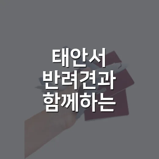 태안서 반려견과 함께하는 해변운동회와 SUP 체험