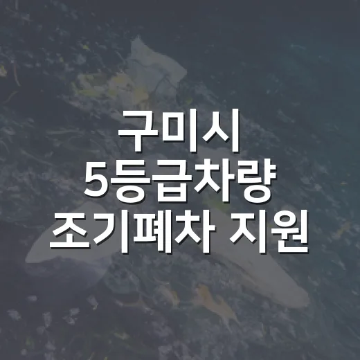 구미시 5등급차량 …