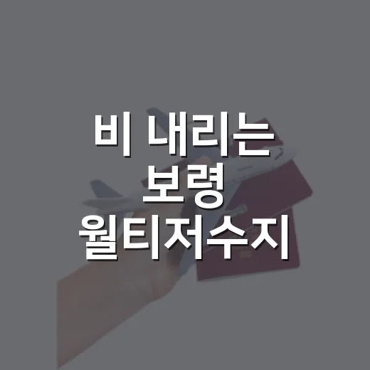 비 내리는 보령 월…