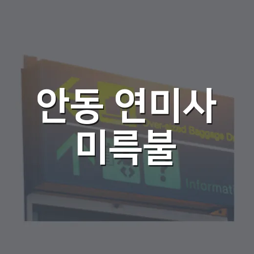 안동 연미사 미륵불, 숨은 명소의 매력