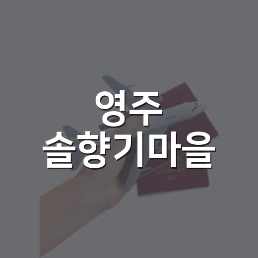 영주 솔향기마을, 350년 소나무 숲 힐링 명소