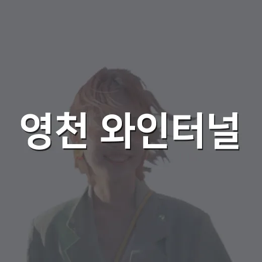 영천 와인터널, 여름 실내 여행 명소