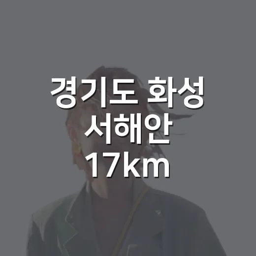 경기도 화성 서해안 17km 황금해안길 개통