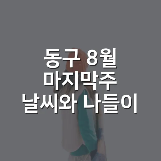 동구 8월 마지막주 날씨와 나들이 명소