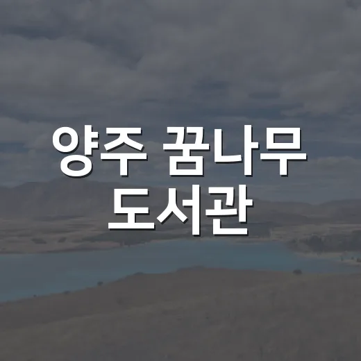 양주 꿈나무 도서관, 재미와 학습의 공간
