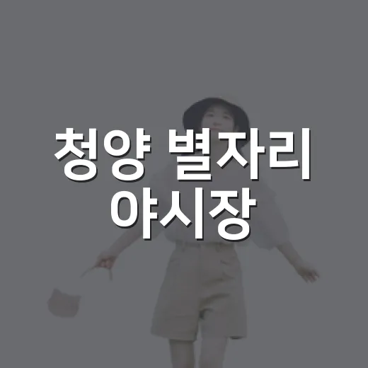 청양 별자리 야시장, 가을밤 빛낸다
