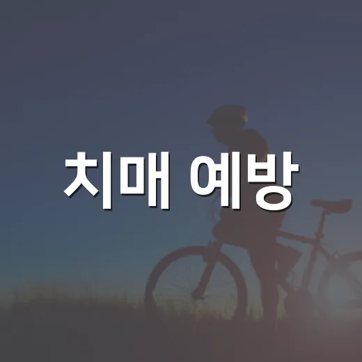 치매 예방, 333 수칙으로 시작하세요