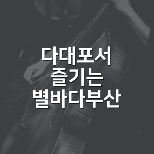 다대포서 즐기는 별바다부산 나이트 뮤직 캠크닉