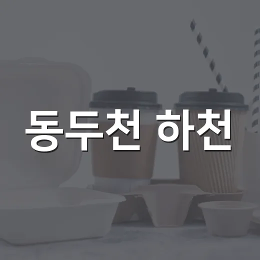 동두천 하천·계곡 불법시설 정비 현황