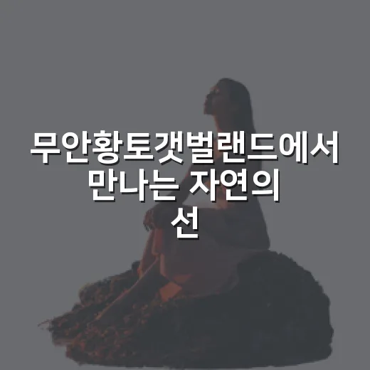 무안황토갯벌랜드에서 만나는 자연의 선물