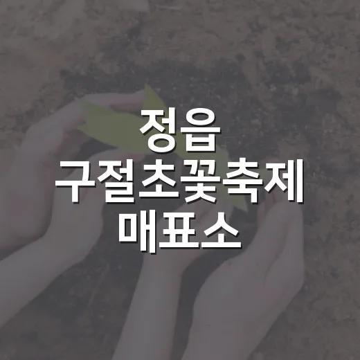 정읍 구절초꽃축제 매표소 근무요원 모집