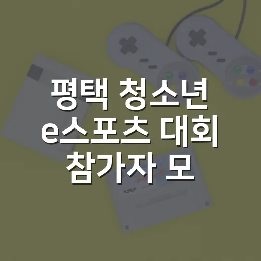평택 청소년 e스포츠 대회 참가자 모집