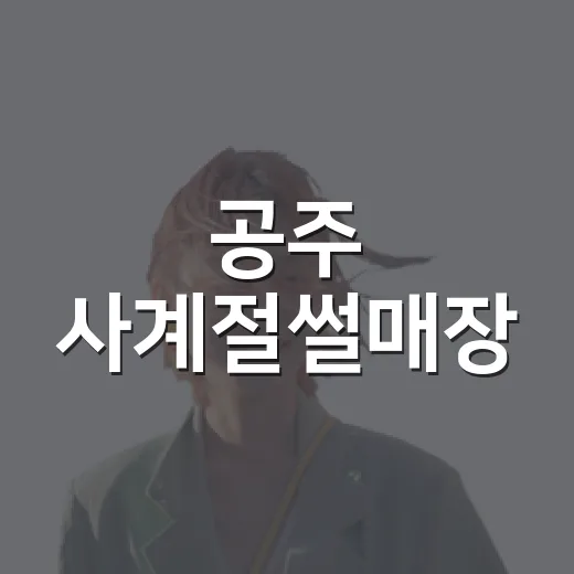 공주 사계절썰매장, 사계절 내내 즐기는 가족 명소