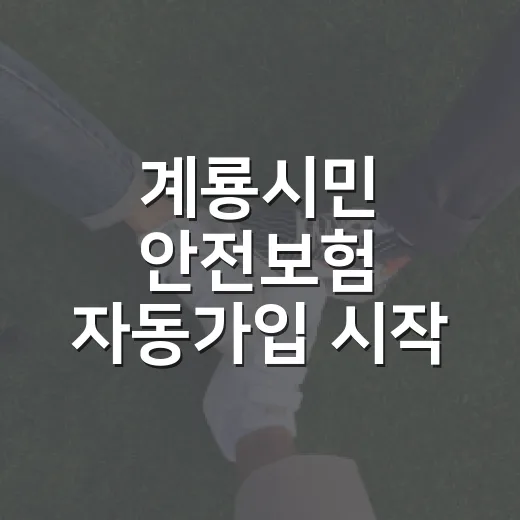 계룡시민 안전보험 자동가입 시작