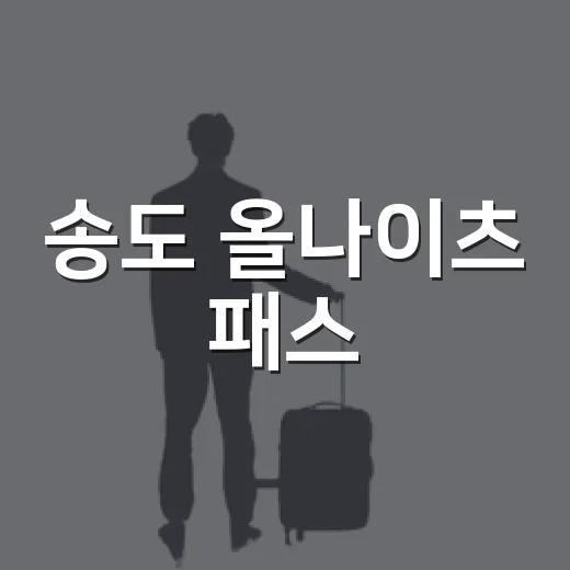 송도 올나이츠 패스, 주말 할인 대박