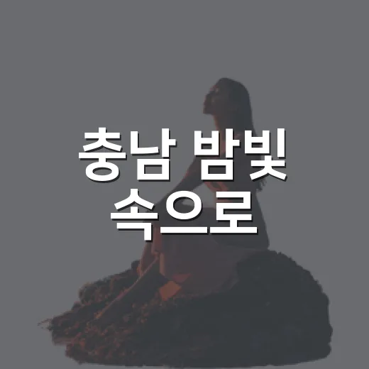 충남 밤빛 속으로, 야간 명소 8선